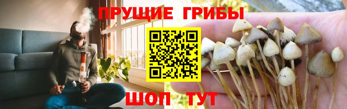 Севастополь  продажа наркотиков  Вход с VPN  Галлюциногенные грибы ЛСД 