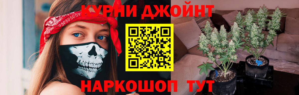 Шишки марихуана сатива Севастополь